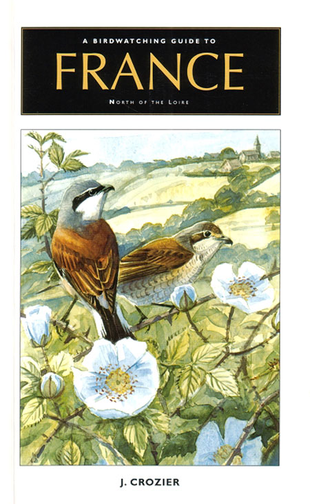 Birdwatching Guide To Brittany