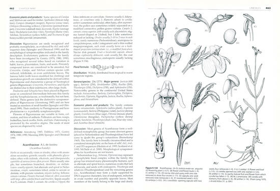 Plant systematics: a phylogenetic approach | Walter S. Judd | second ...